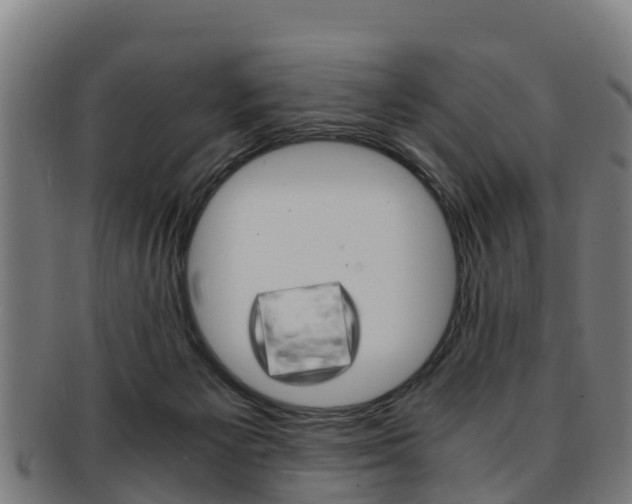 X0000091920125200709051238