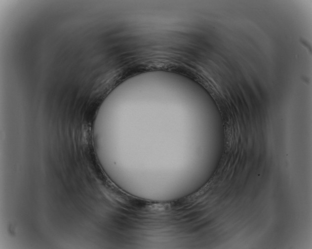 X0000091920126200709051238