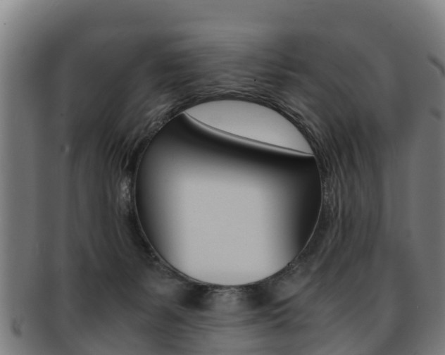 X0000091920127200709051238