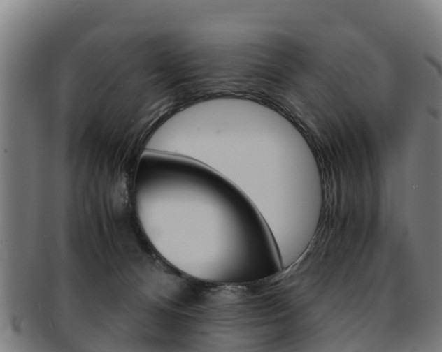 X0000091920128200709051238