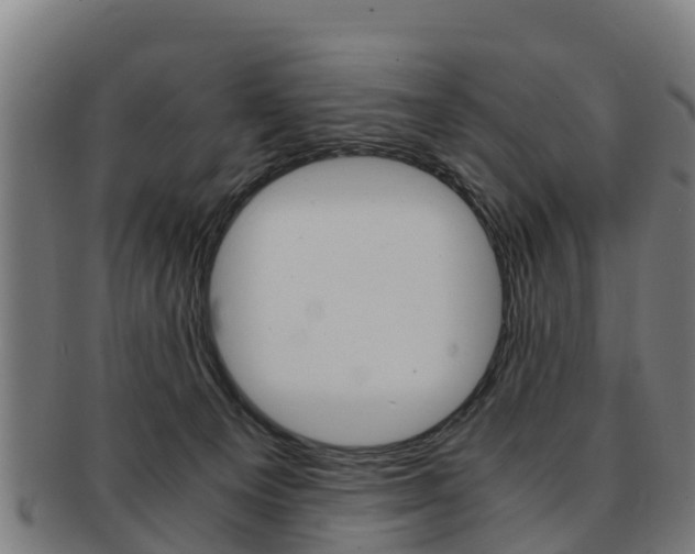 X0000091920129200709051238