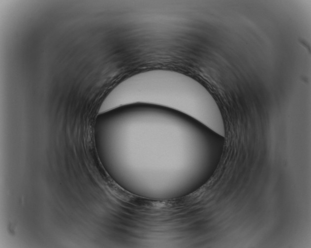 X0000091920130200709051238