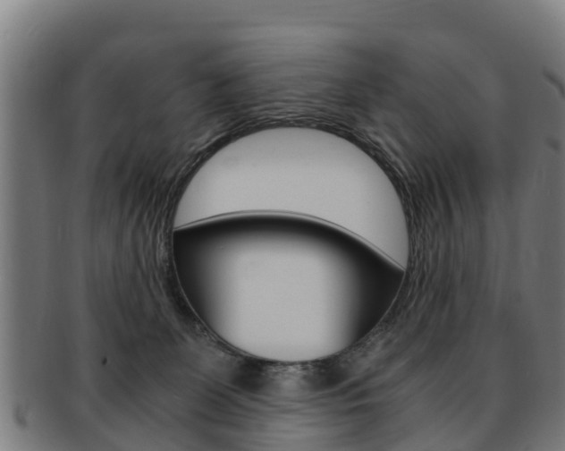 X0000091920131200709051238
