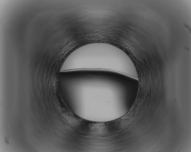 X0000091920132200709051238