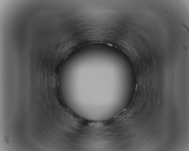 X0000091920133200709051238