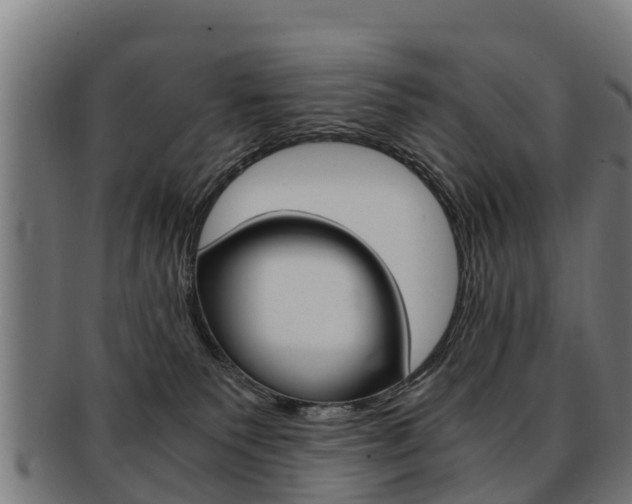 X0000091920135200709051238