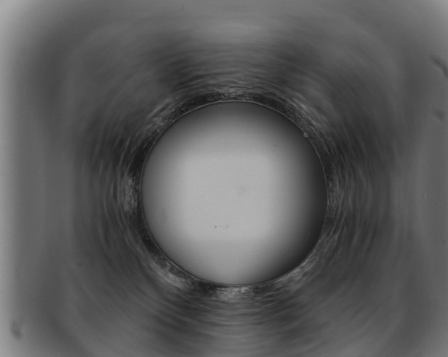 X0000091920136200709051238