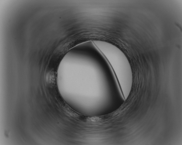 X0000091920137200709051238