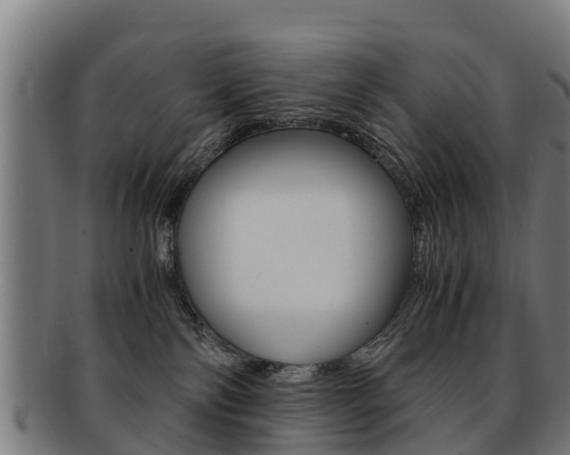 X0000091920138200709051238