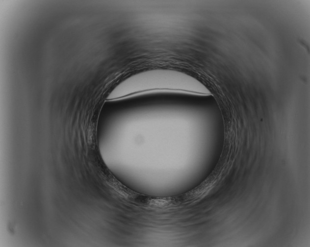 X0000091920139200709051238