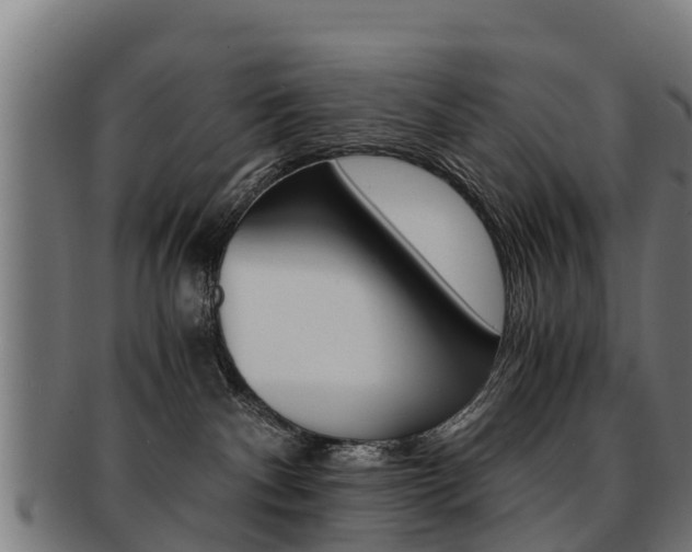 X0000091920140200709051238
