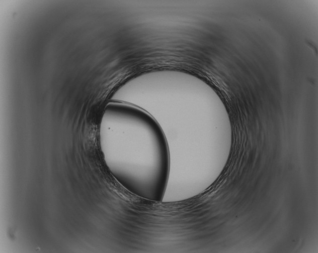X0000091920141200709051238