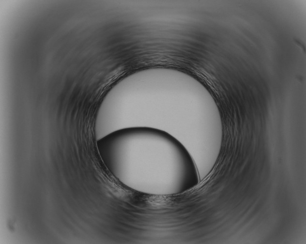 X0000091920142200709051238