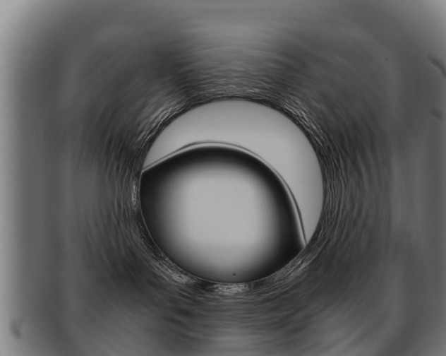X0000091920143200709051238