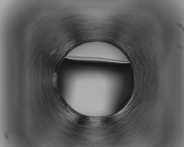 X0000091920144200709051238