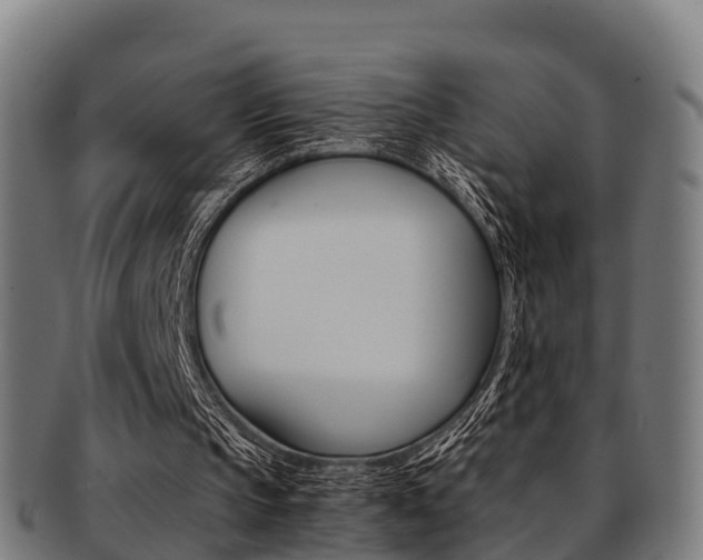 X0000091920145200709051237
