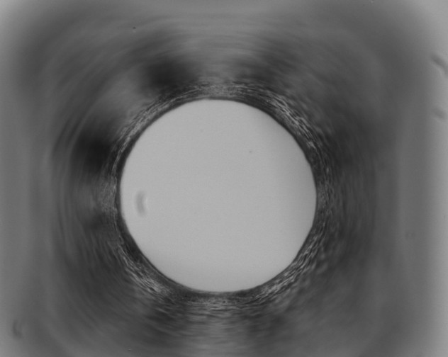 X0000091920146200709051237
