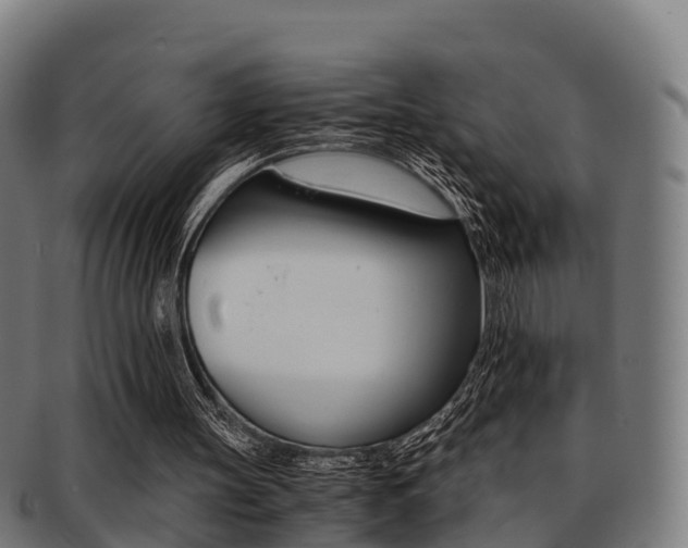 X0000091920147200709051237