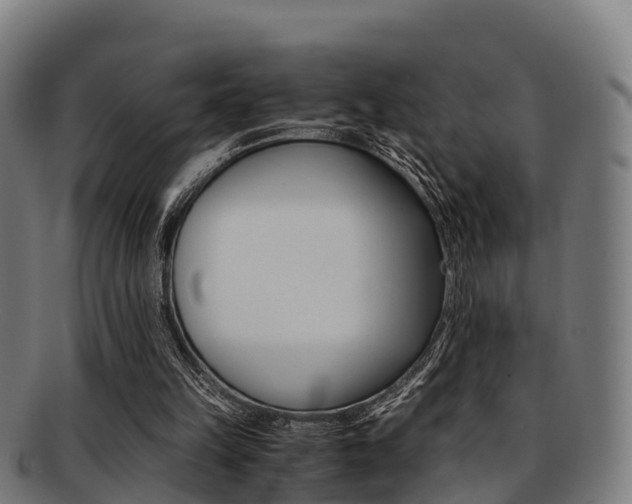 X0000091920149200709051238