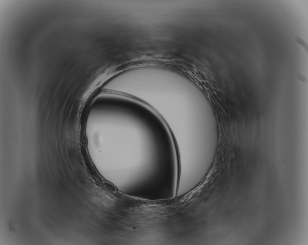 X0000091920150200709051238