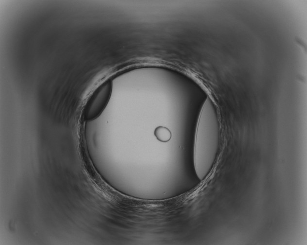X0000091920151200709051238