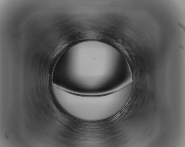 X0000091920154200709051238