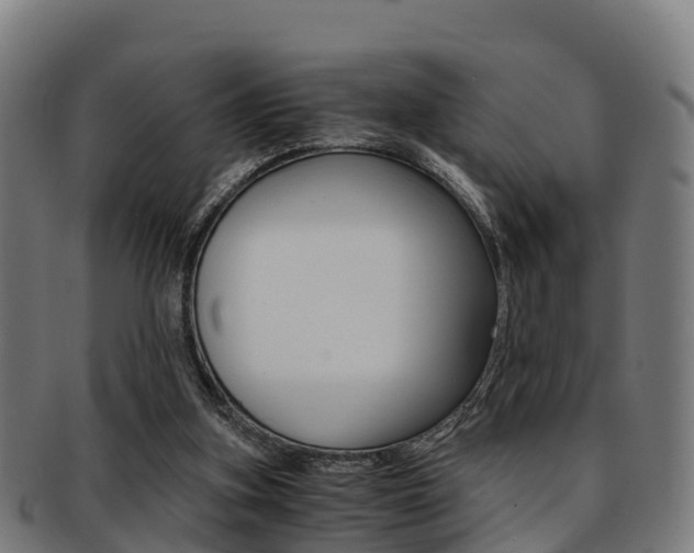 X0000091920155200709051238