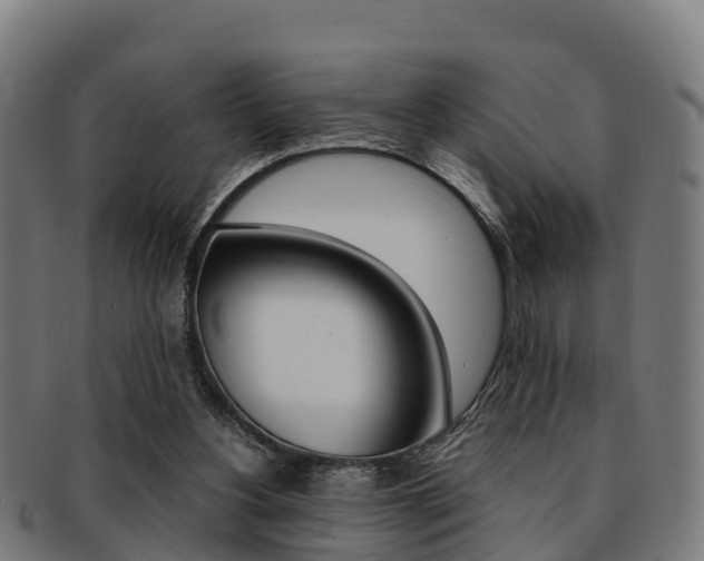 X0000091920156200709051238