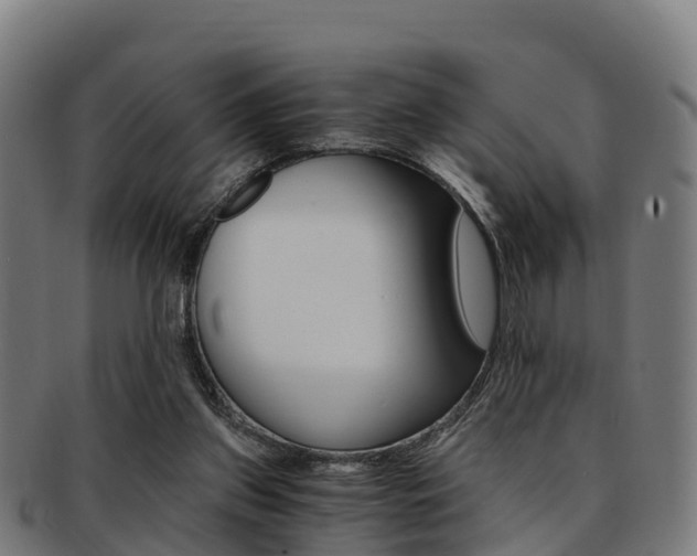 X0000091920157200709051238