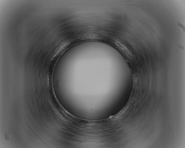 X0000091920158200709051238