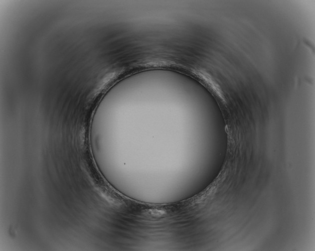 X0000091920159200709051238