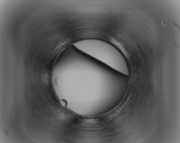 X0000091920161200709051238