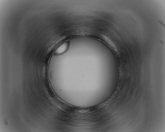 X0000091920163200709051238