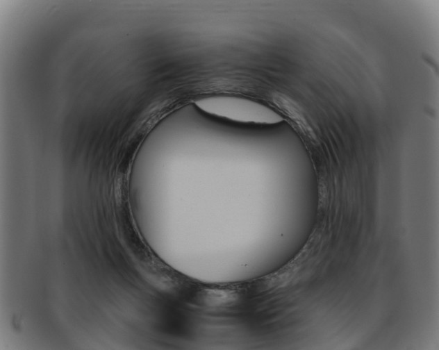 X0000091920167200709051238