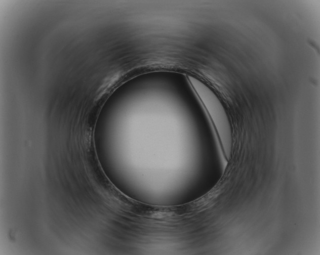 X0000091920168200709051238