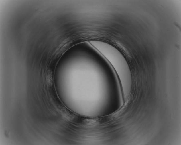 X0000091920170200709051238