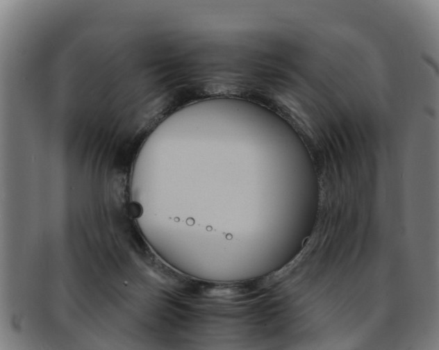 X0000091920171200709051238