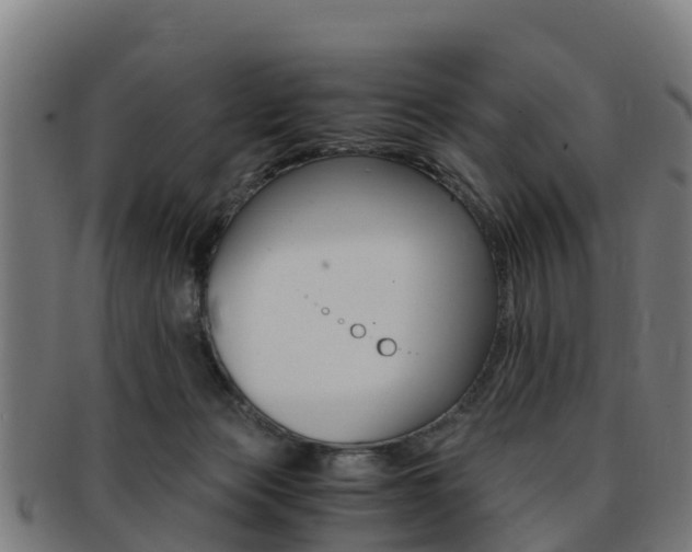 X0000091920173200709051238