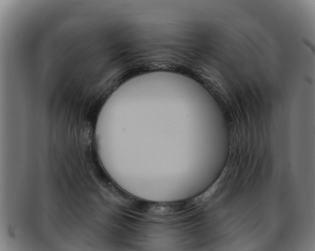 X0000091920174200709051238