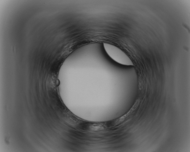 X0000091920175200709051238
