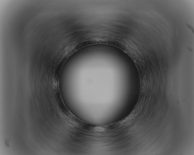 X0000091920176200709051238