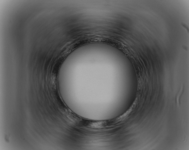 X0000091920178200709051238