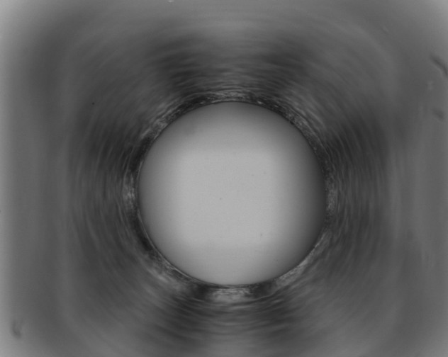 X0000091920179200709051238