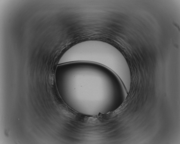 X0000091920180200709051238