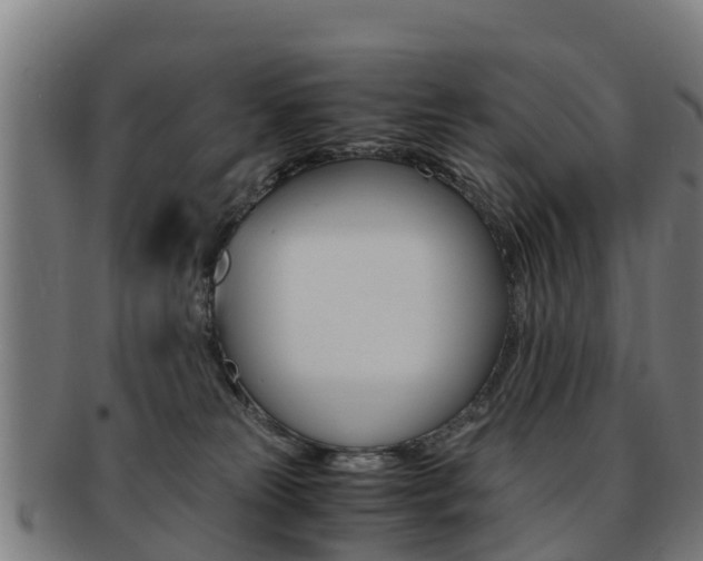 X0000091920181200709051238