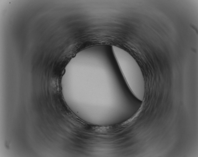 X0000091920182200709051238