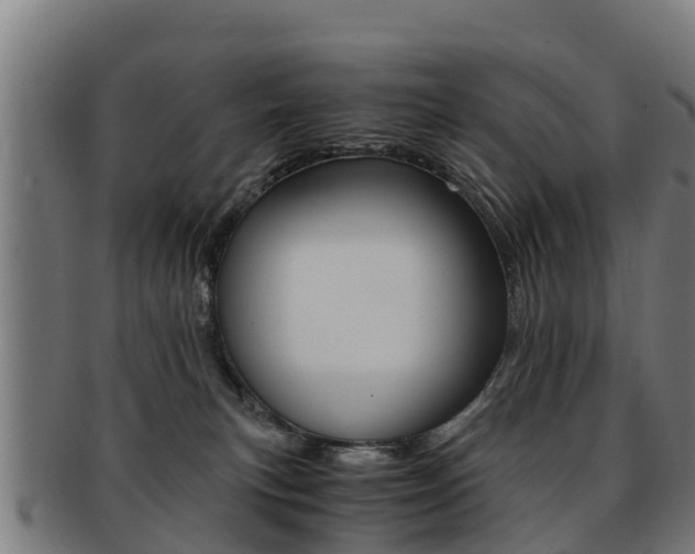 X0000091920183200709051238