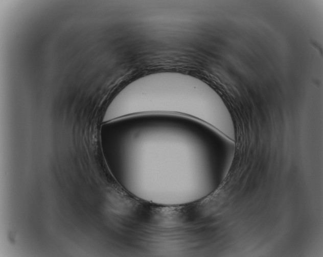X0000091920184200709051238