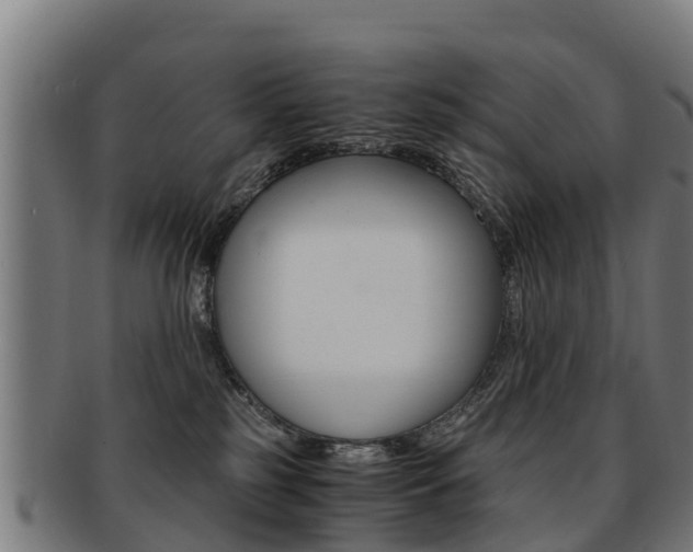 X0000091920185200709051238