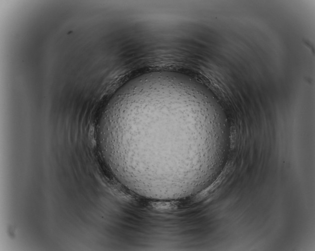 X0000091920187200709051238